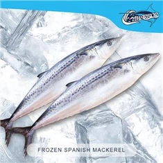 Dondurulmuş İspanyol Uskumru