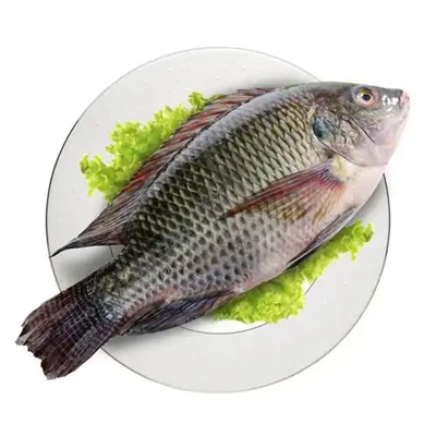 Küresel tilapia ticaretindeki yavaşlamanın nedenleri
