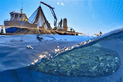 Highly migratory fisheries are most vulnerable to climate change